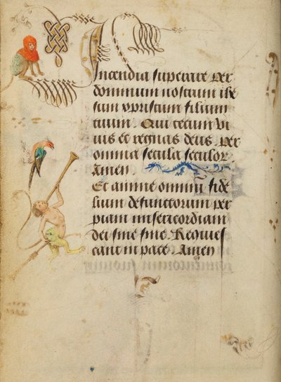 Pagina di testo decorata da Unbekannt Unbekannt